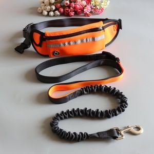 Hands free dog leash with waist bag - orange